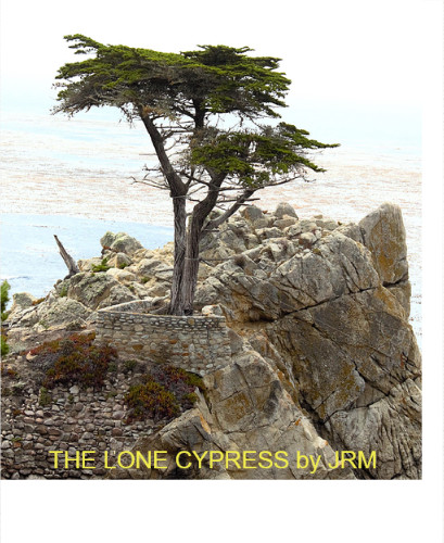 Design 678523 Canvas Prints