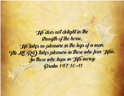 Design 684401 Canvas Prints Image