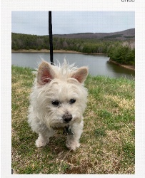 Design 685567 Canvas Prints Image