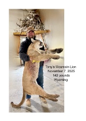 Design 686235 Canvas Prints Image