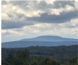 Design 688094 Canvas Prints Image