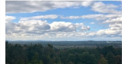 Design 688096 Canvas Prints Image