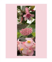 Design 692863 Canvas Prints Image