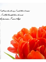 Design 76712