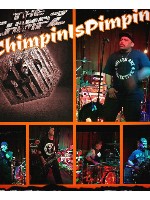 custom chimpz collage