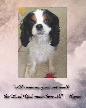 Design 33175 Canvas Prints