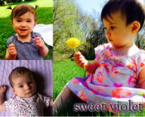 sweet violet