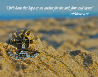 Design 36421 Canvas Prints Image