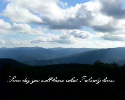 Design 37162 Canvas Prints