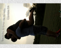 Design 31313
