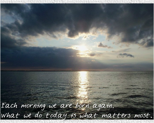 Design 4942 Canvas Prints