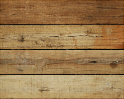 Design 7909 Canvas Prints