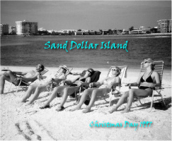 Sand Dollar Island Best Canvas Prints Image