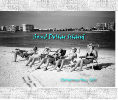 Sand Dollar Island 8 x 10 Canvas Prints Image