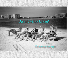 Sand Dollar Island 8 x 10