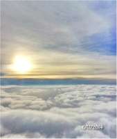 Design 10647 Canvas Prints Image