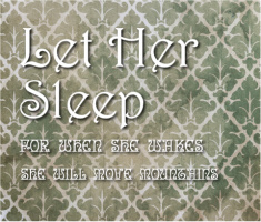 Let Her Sleep Canvas Prints Image