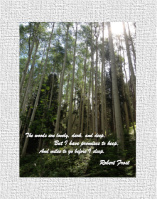 Design 8829 Canvas Prints Image