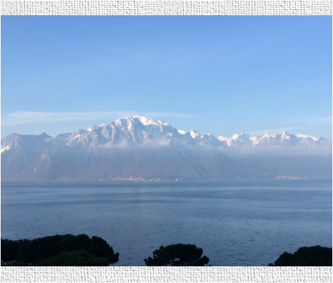 Design 17331 Canvas Prints