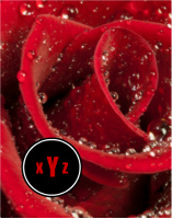 Design 17556 Canvas Prints Image