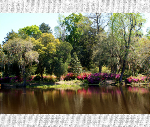 Design 18756 Canvas Prints