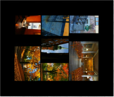 Design 16073 Canvas Prints Image