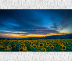 Design 21554 Canvas Prints Image