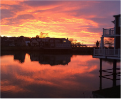 Design 21447 Canvas Prints Image