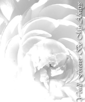 Design 48564 Canvas Prints