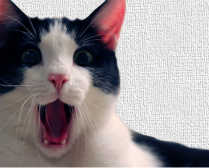 Design 120176 Canvas Prints Image