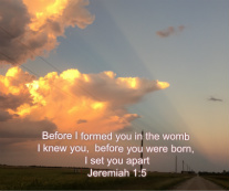 Design 120762 Canvas Prints Image