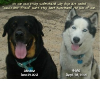 Design 127180 Canvas Prints Image