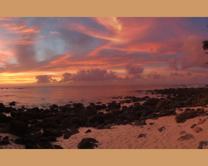 Design 127458 Canvas Prints