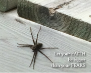 Fear