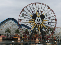 the mouse