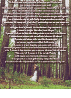 Design 124520 Canvas Prints Image