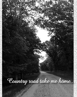 Design 140765 Canvas Prints