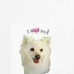 Design 142645 Canvas Prints Image