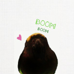 Design 142669 Canvas Prints Image