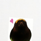 Design 142601 Canvas Prints Image