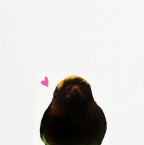 Design 142609 Canvas Prints Image