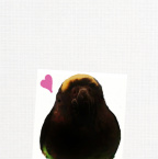 Design 142603 Canvas Prints Image