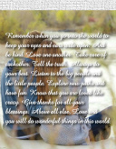 Design 142443 Canvas Prints Image