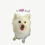 Design 143843 Canvas Prints Image