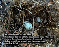 Design 134907 Canvas Prints Image