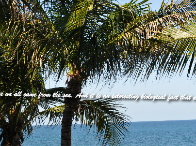 Design 57327 Canvas Prints