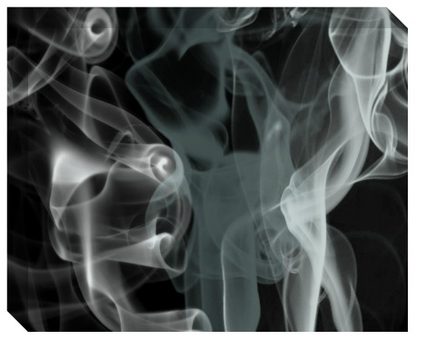 Design 58474 Canvas Prints