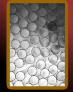 Design 59004