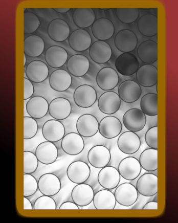Design 59004 Canvas Prints