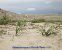 Majestic Badlands